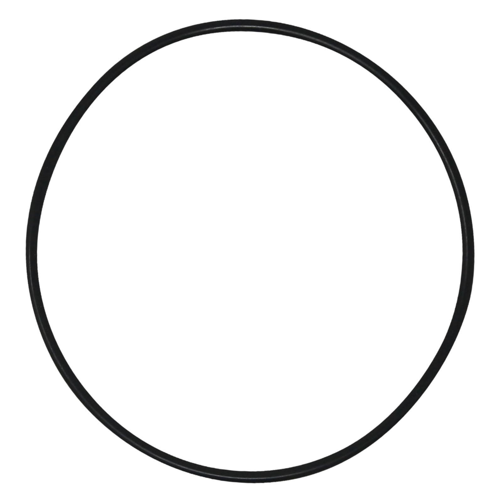 Leakproof Pool Filter Tank O R - Tank O-Ring Seal 评论和价格
